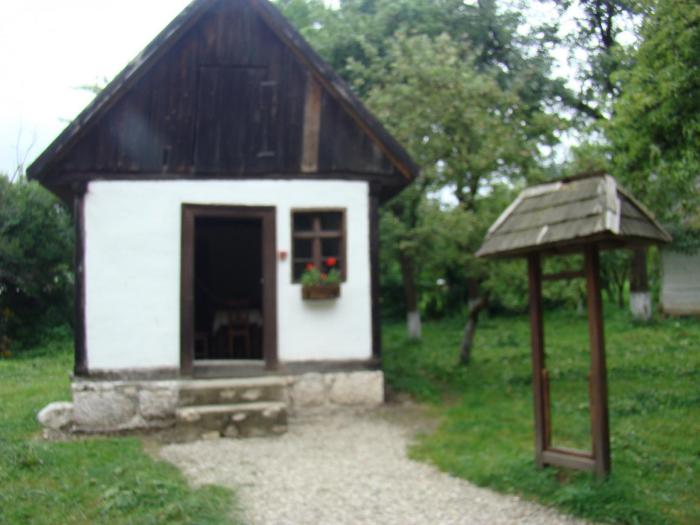 DSC02064 - Concediu 2008