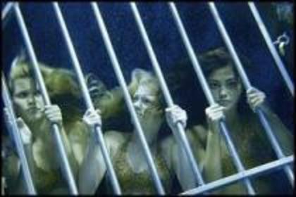 EFIVAHOHIEFOXFRDSAR - H2O