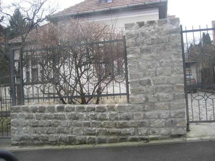 IMG_3727 - FIER FORJAT