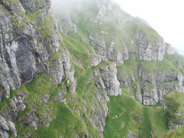 2009_08190567; Romania
