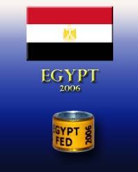 EGYPT 2006 - inele straine