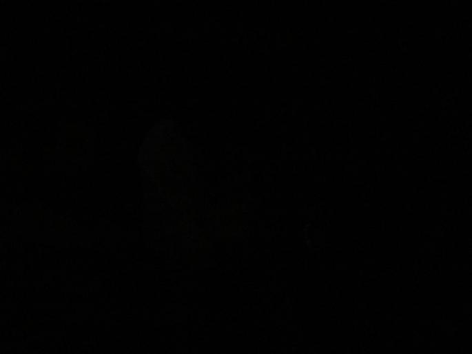 P1020377 - 2008 POZE COTTON CLUB