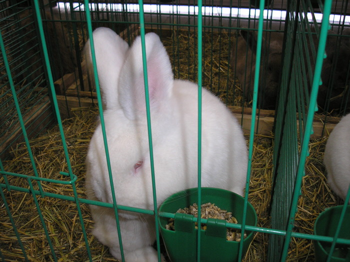 P1010143