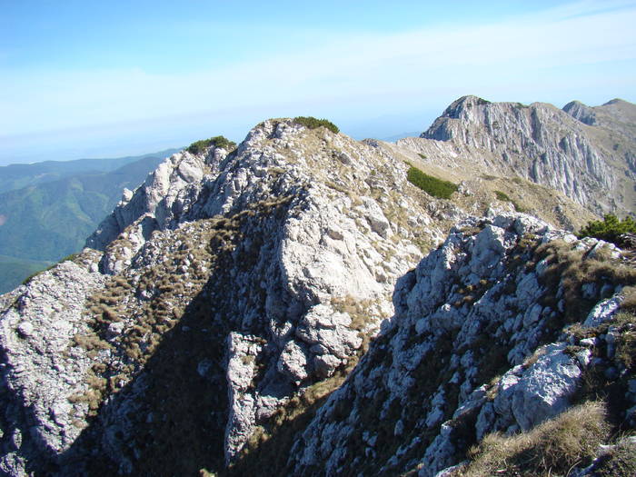 DSC03246 - Piatra Craiului MAI