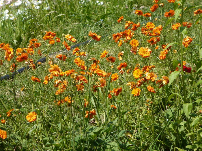 P1120038