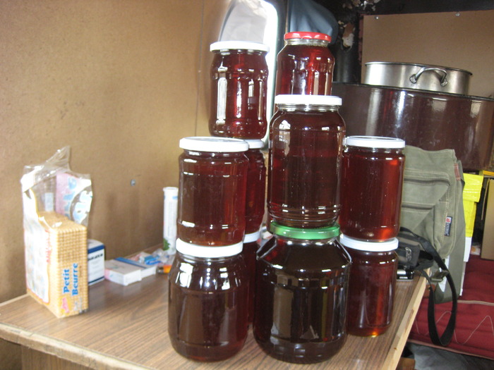 IMG_0031 (2) - Stupina personala in 2009