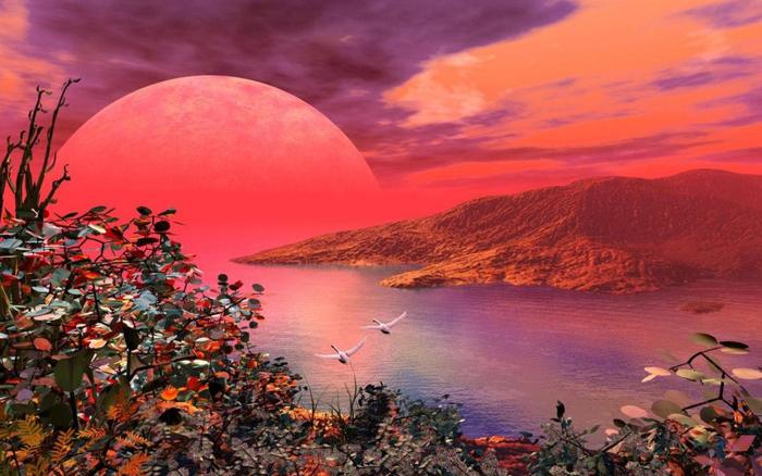 Sunset-but-happy - 171 - Nature Wallpapers