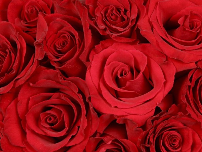 valentn009
