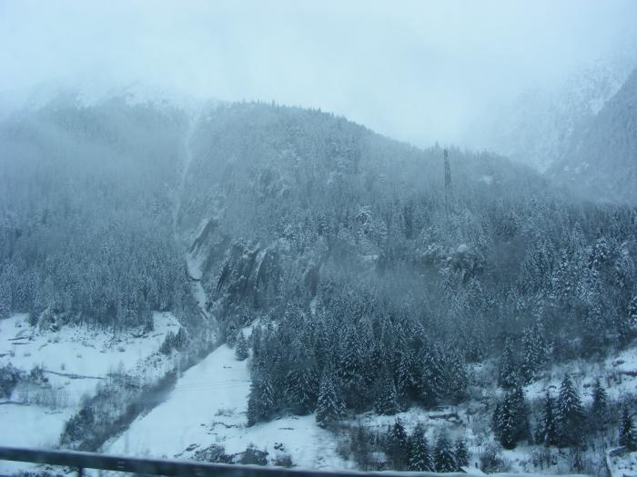 075; Elvetia
