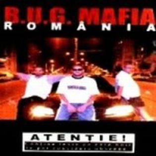 romania - BUG MAFIA