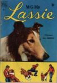 lassie - LASSIE