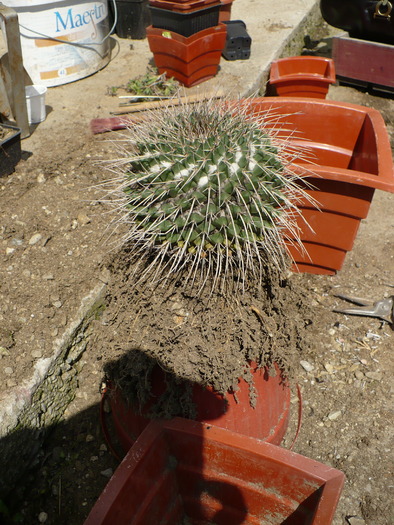 P1000746