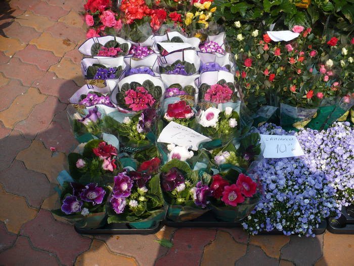 P1020415