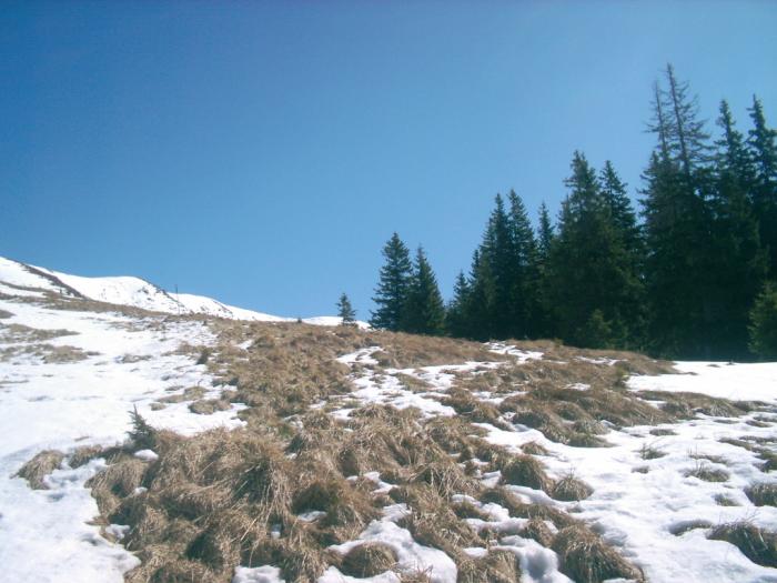 04120090 - Iezer-Papusa