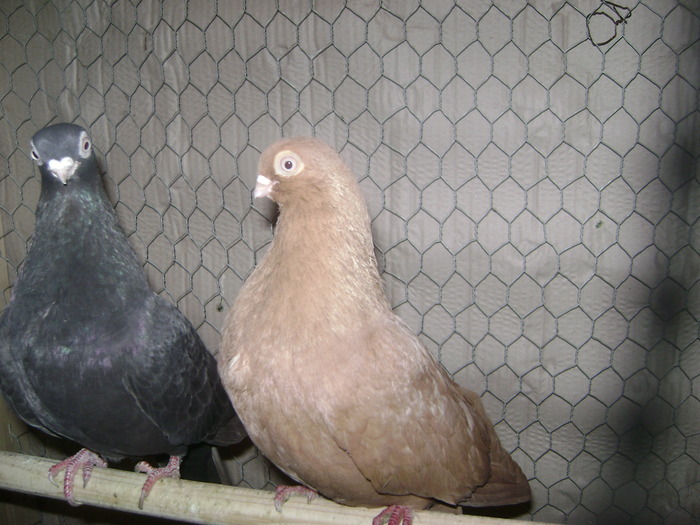 DSC08069