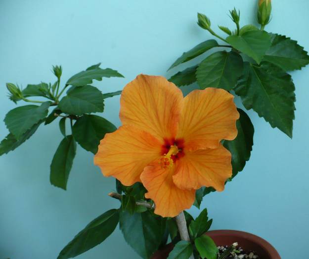 P1110776
