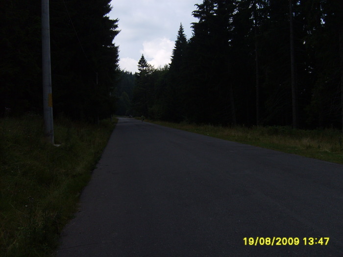 S5002614 - Sinaia 23 08 2009