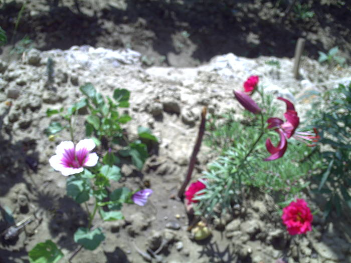 PICT0072