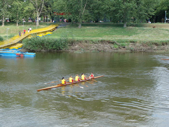 Memorial Sorin Lobont Editia a IX a (2008)