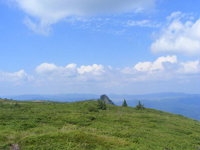 DSCF4209 - 2 august 2009 Traseu Suior Secatura Creasta Cocosului Gutaiul Doamnei  Vf Gutai