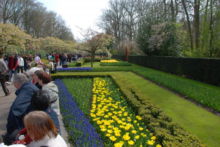 Afbeelding 629 - KEUKENHOF-OLANDA