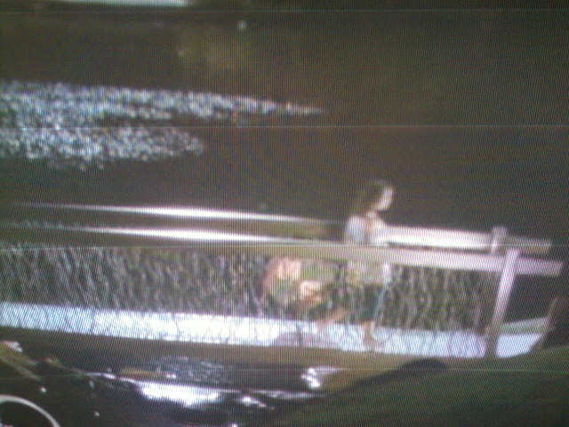 Fotografii-0009 - hsm 2