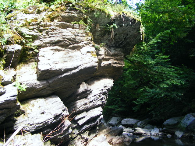 DSCF5214