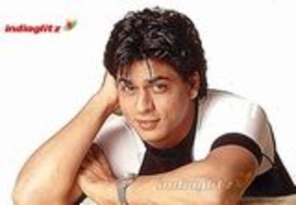 12012005_800_1 - shahrukh khan