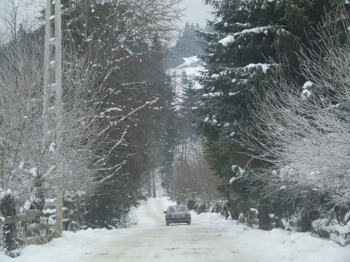 DSCF4560 - poiana zinelor