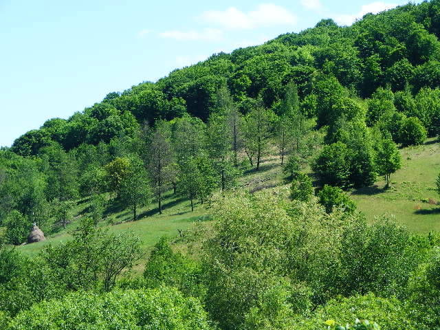 DSCF0806 - hai hui prin Maramures