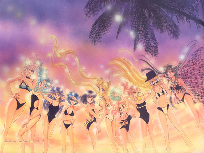 sailor-moon-swimsuit_800x600