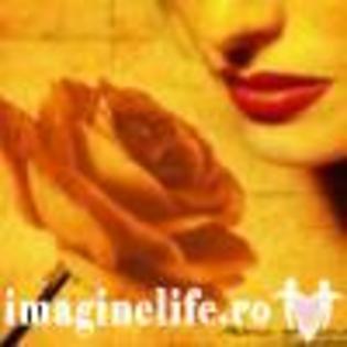 Avatar%2012[1][1] - poze pentru mess