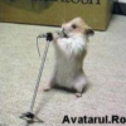 avatar_26[2]