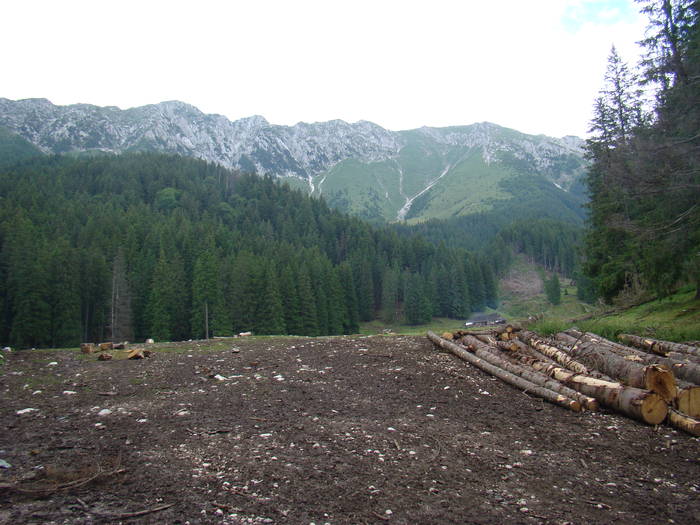 DSC03875 - Concediu 2009