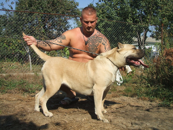 DSCF1789 - snoopyfightdogo  canario