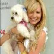 Copy (2) of yM9xRZ874457-01 - high school musical toate pozele