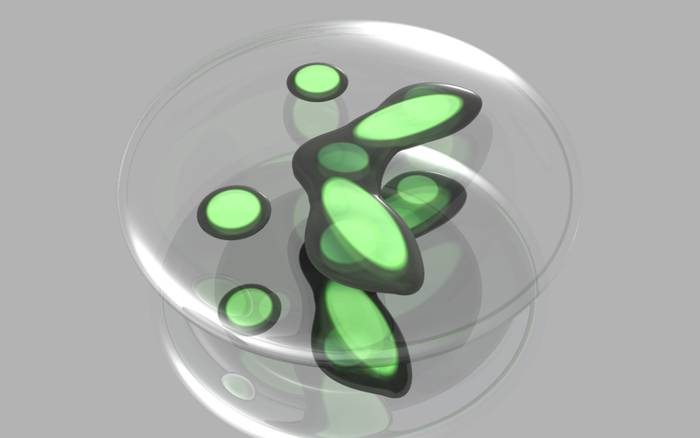 obraz--70- - Glass Wallpapers