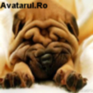 avatar_14