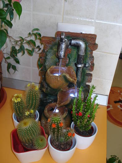 TEPOSII MEI - FLORILE MELE
