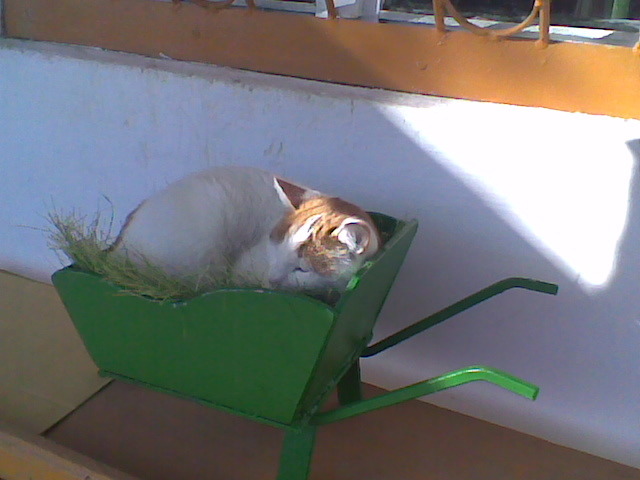 Imag004