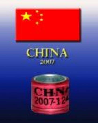 CHINA 2007 - c INELE DIN TOATE TARILE