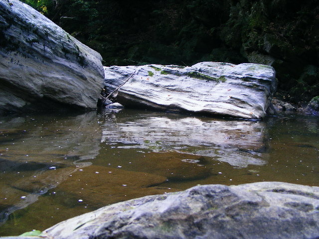 DSCF5080