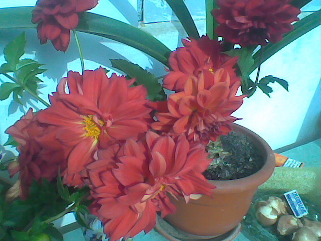Imag077