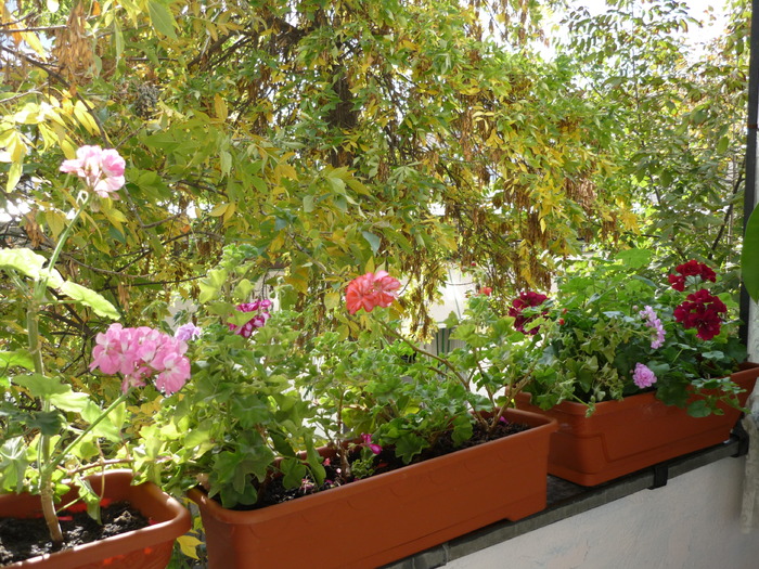 oct. 2009