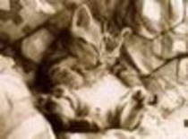 avatar pisicute 32196