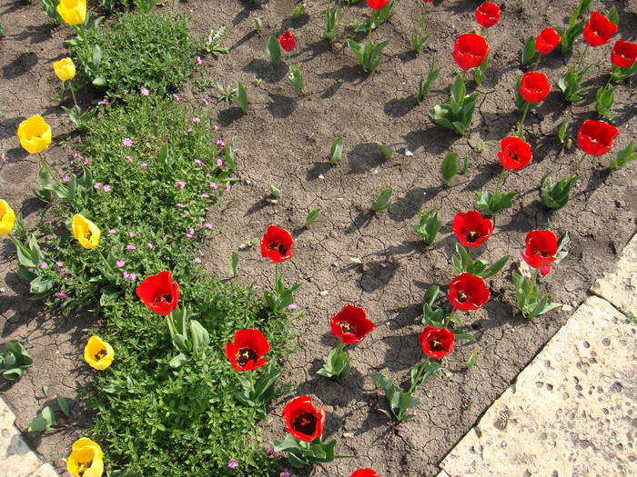 348 - Balchik 20 aprilie 2009
