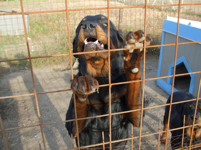 DSCF1377 - Atelierul