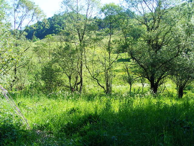 DSCF1543 - hai hui prin Maramures
