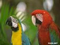imagesCAYK9QQ4
