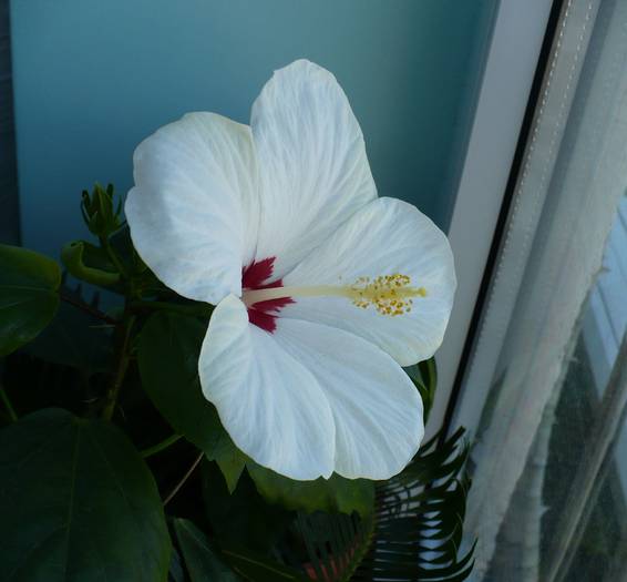 P1110138